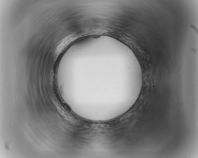 X0000102220242200808151712