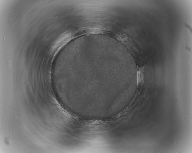 X0000102220243200808151712