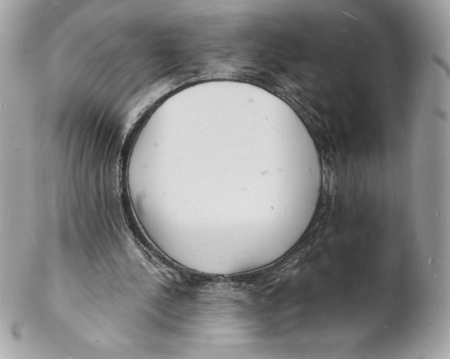 X0000102220244200808151712