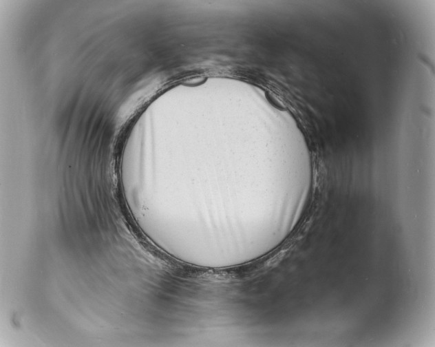 X0000102220245200808151712