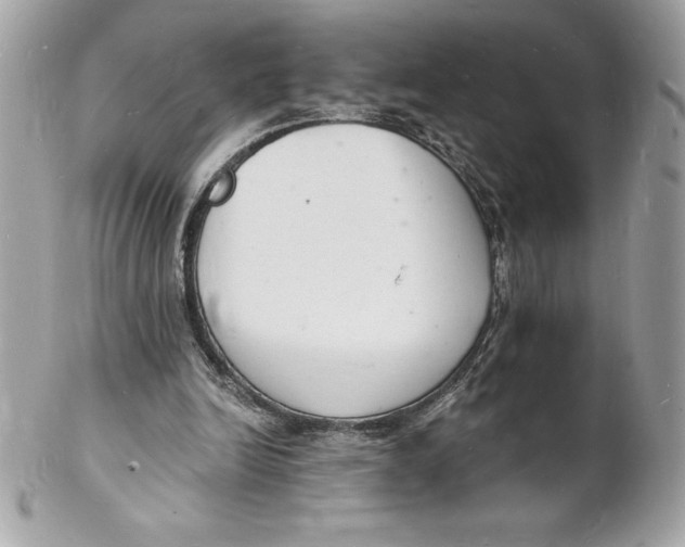 X0000102220246200808151712