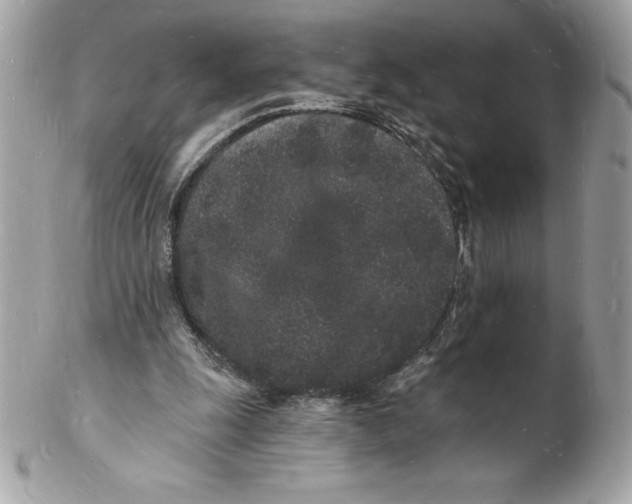 X0000102220247200808151712