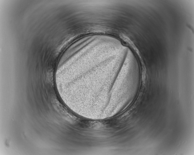 X0000102220249200808151712