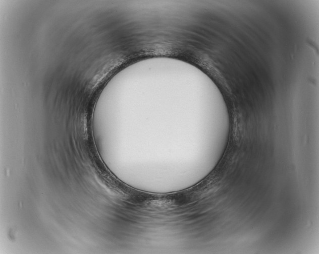 X0000102220251200808151712