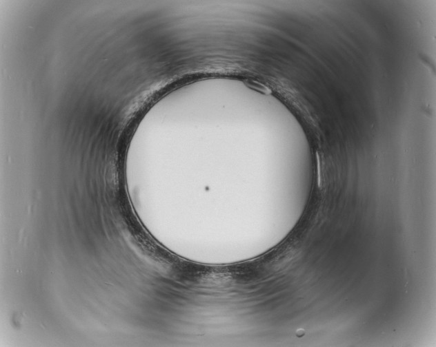 X0000102220252200808151712