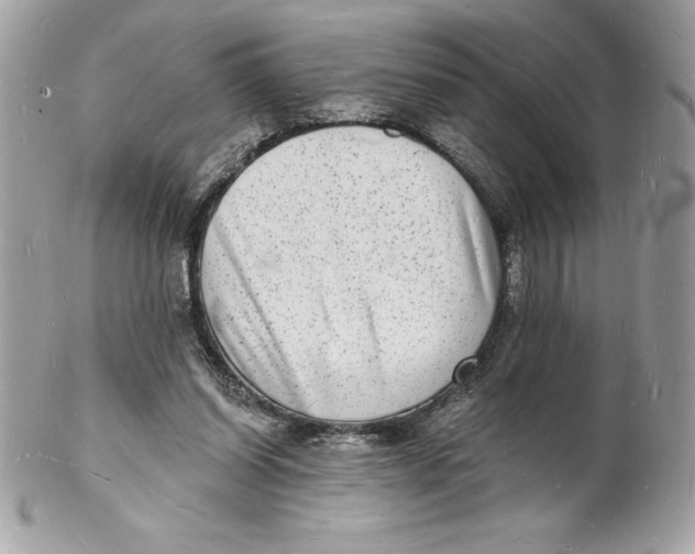 X0000102220254200808151712