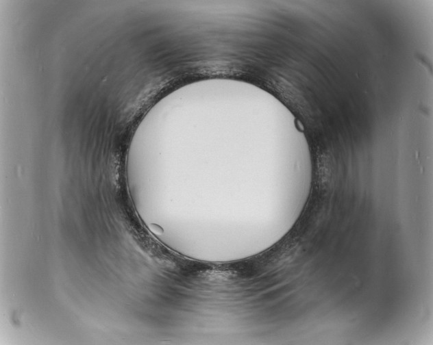 X0000102220255200808151712