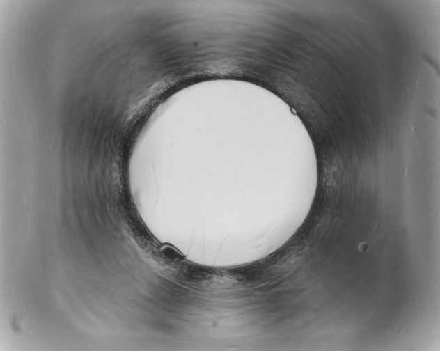 X0000102220256200808151712