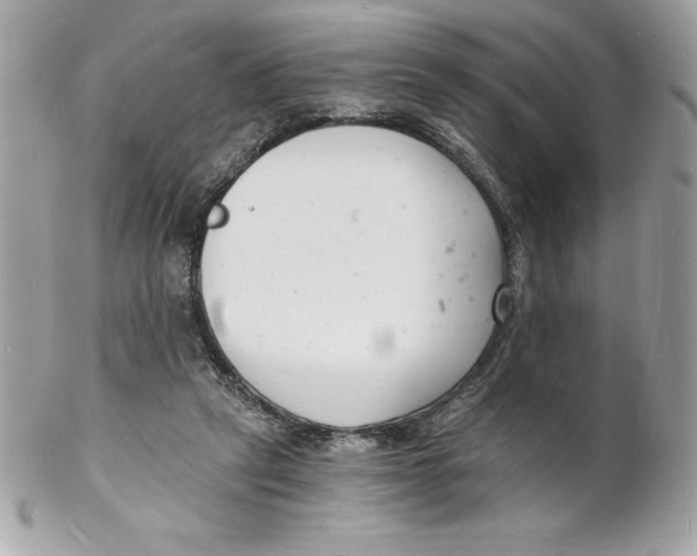 X0000102220257200808151712