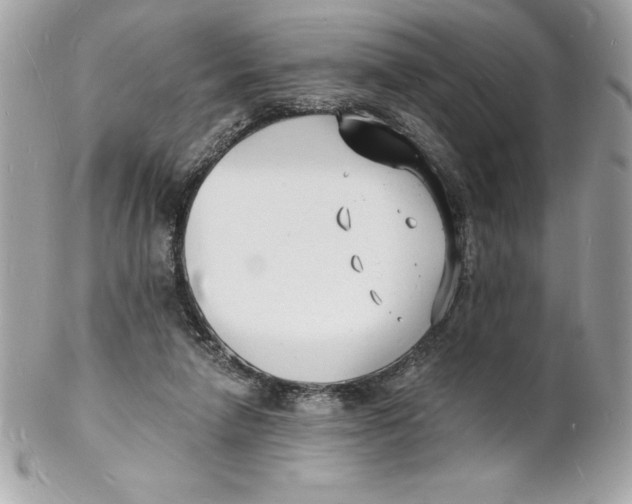 X0000102220258200808151712