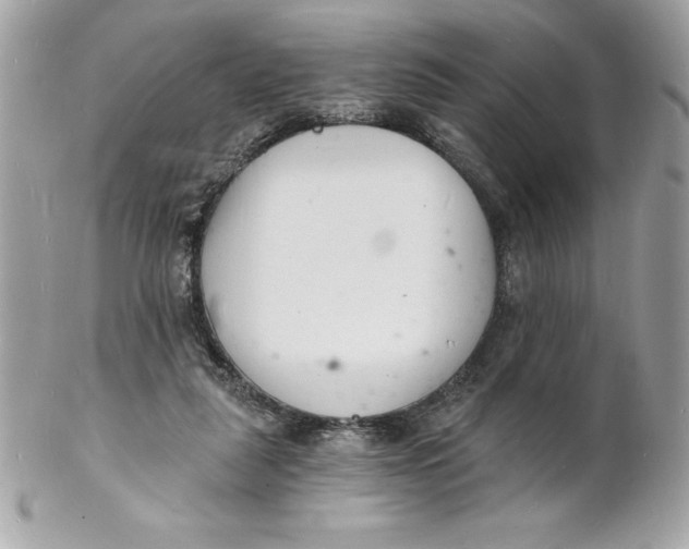 X0000102220259200808151712