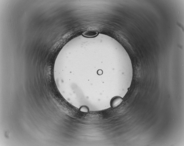 X0000102220260200808151712