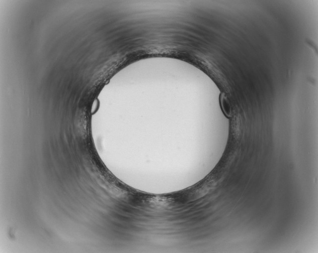 X0000102220261200808151712