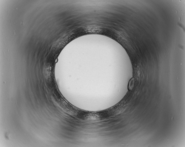 X0000102220263200808151712