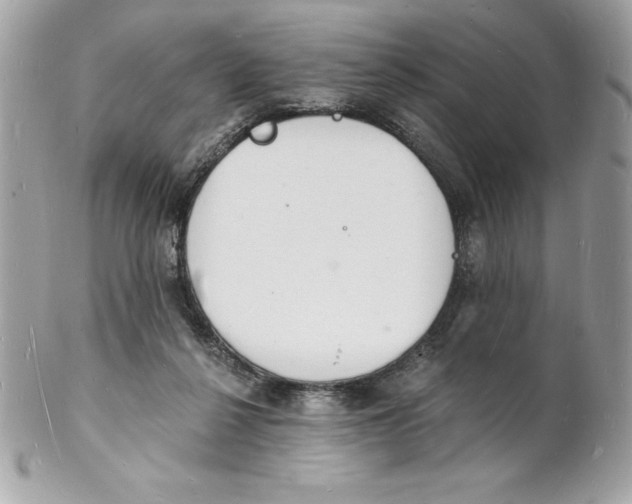 X0000102220264200808151712