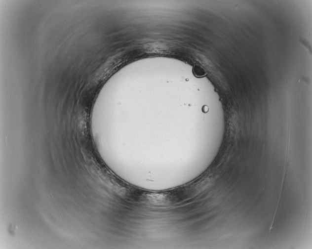 X0000102220265200808151712