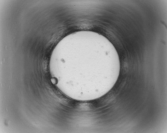 X0000102220268200808151712