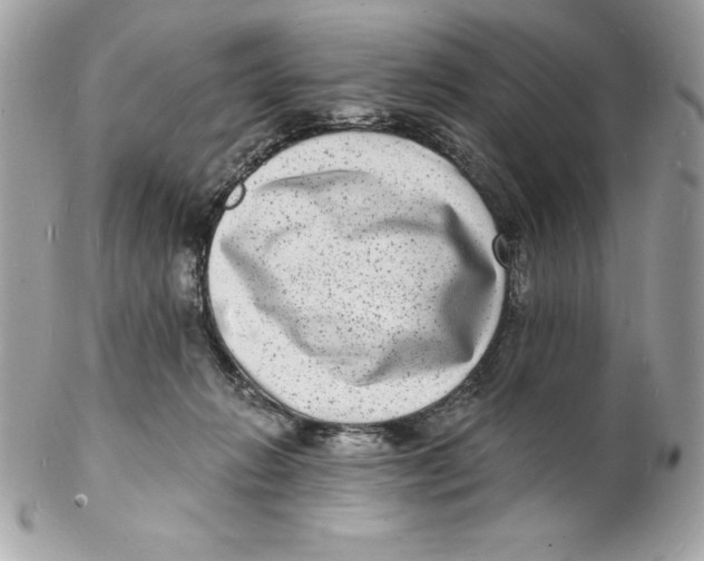 X0000102220270200808151713