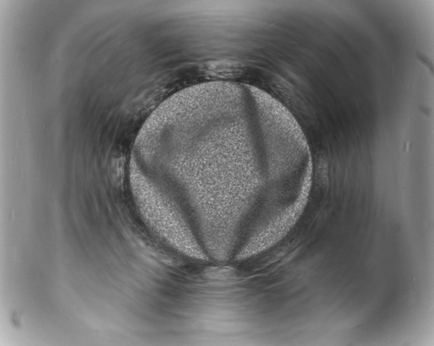 X0000102220271200808151713