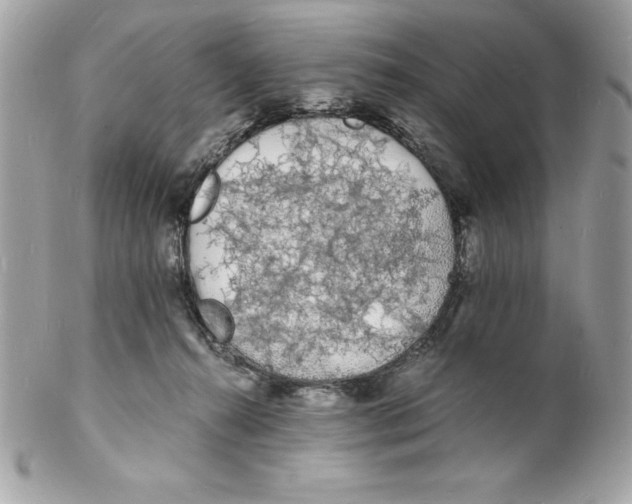 X0000102220272200808151713