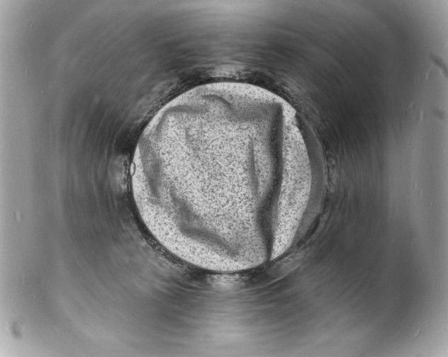 X0000102220273200808151713