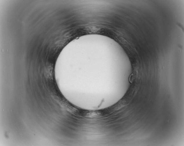 X0000102220274200808151713