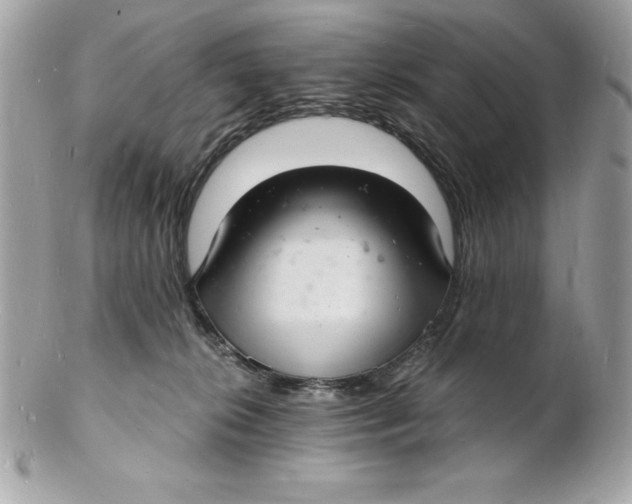 X0000102220276200808151713