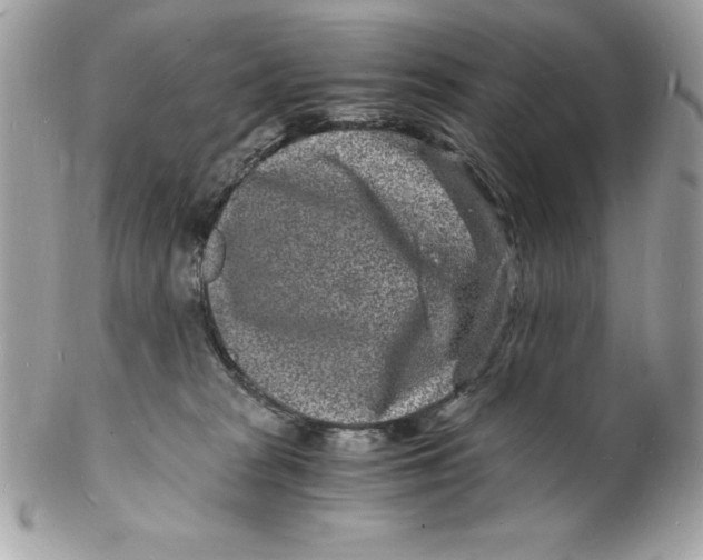 X0000102220277200808151713