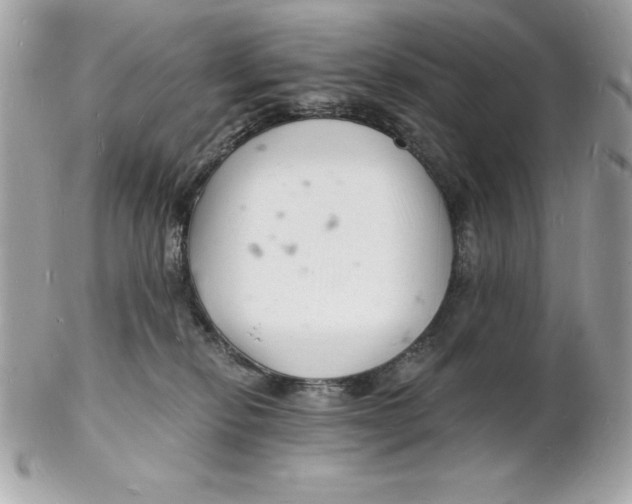 X0000102220278200808151713