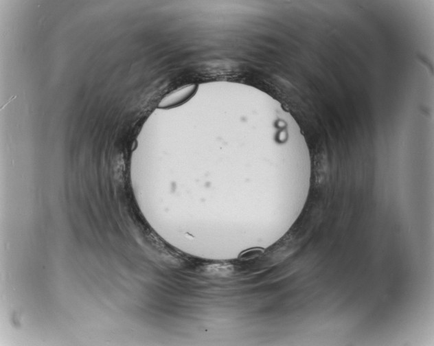 X0000102220279200808151713