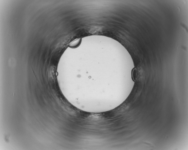 X0000102220280200808151713