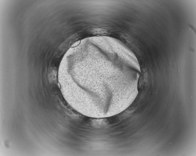 X0000102220281200808151713