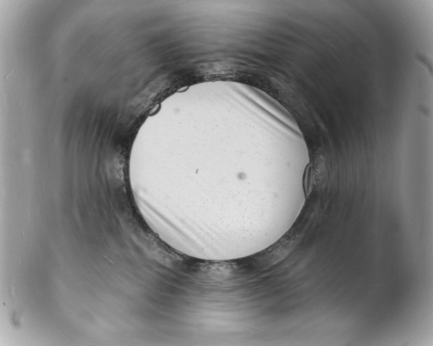 X0000102220282200808151713