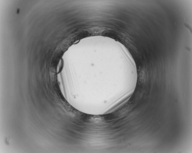 X0000102220283200808151713