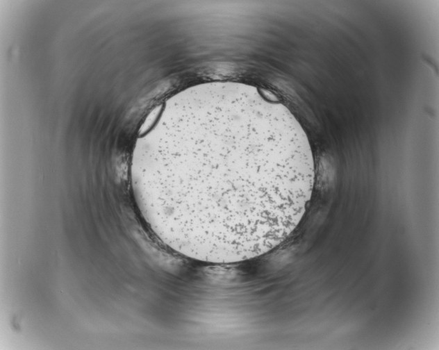 X0000102220284200808151713