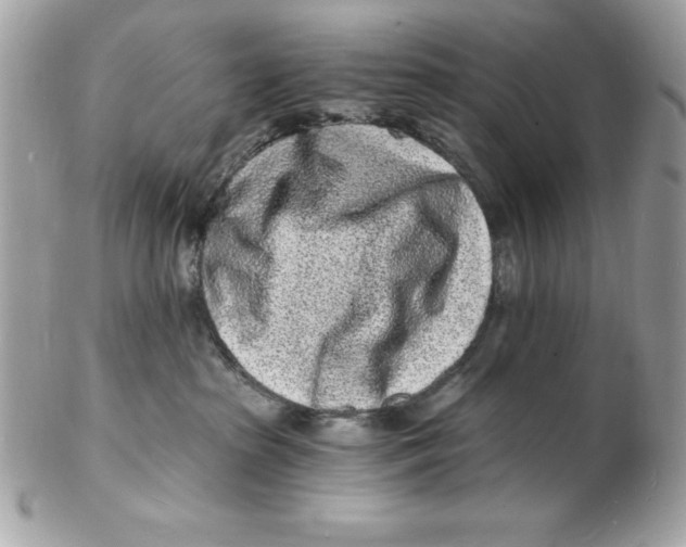 X0000102220285200808151713