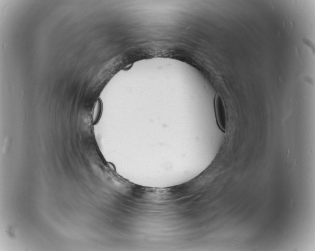 X0000102220288200808151713