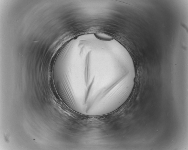 X0000102220290200808151712