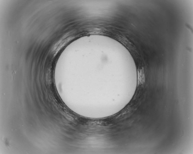 X0000102220291200808151712