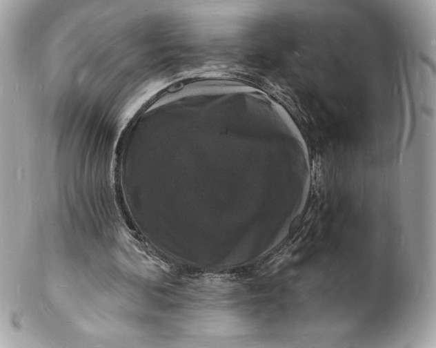 X0000102220292200808151712