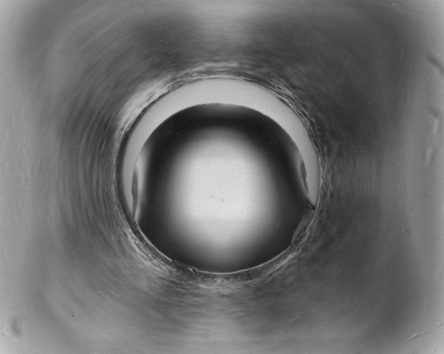 X0000102220293200808151712