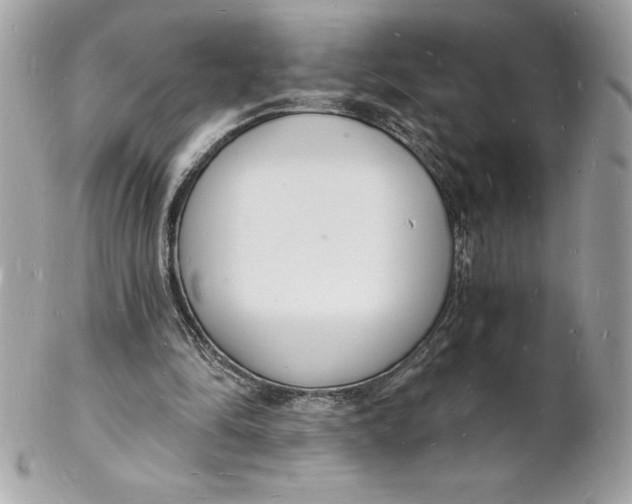 X0000102220294200808151712