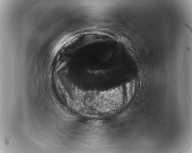 X0000102220295200808151712