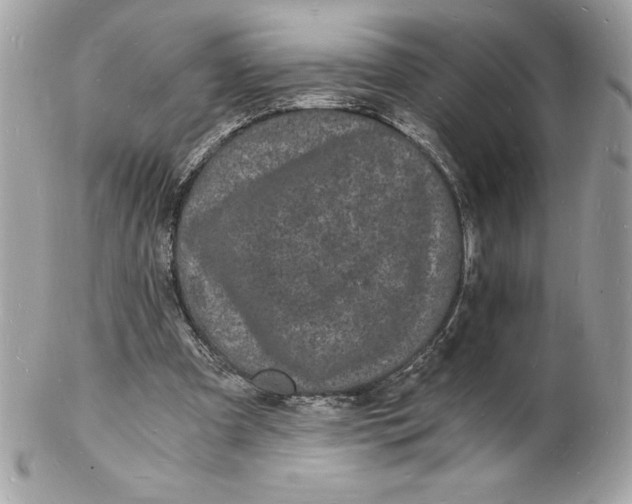 X0000102220297200808151712