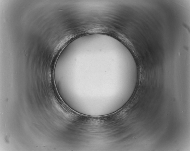 X0000102220298200808151712