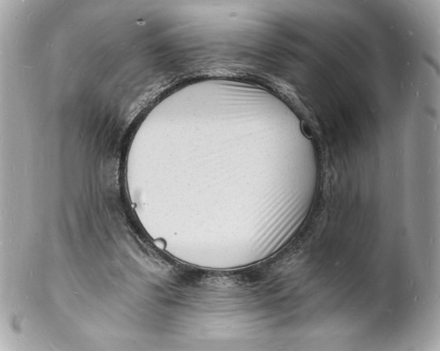 X0000102220299200808151712