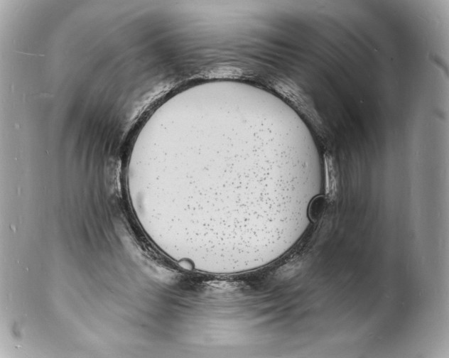 X0000102220300200808151712