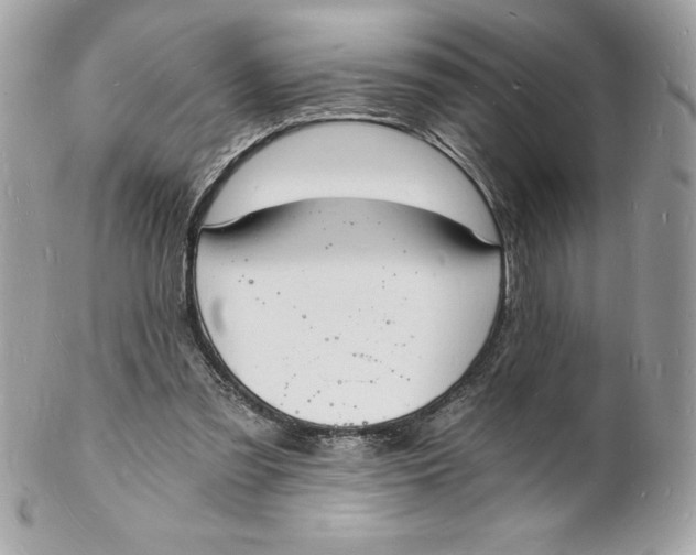 X0000102220301200808151712