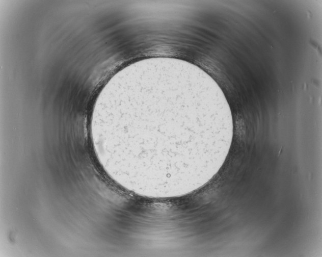 X0000102220302200808151712