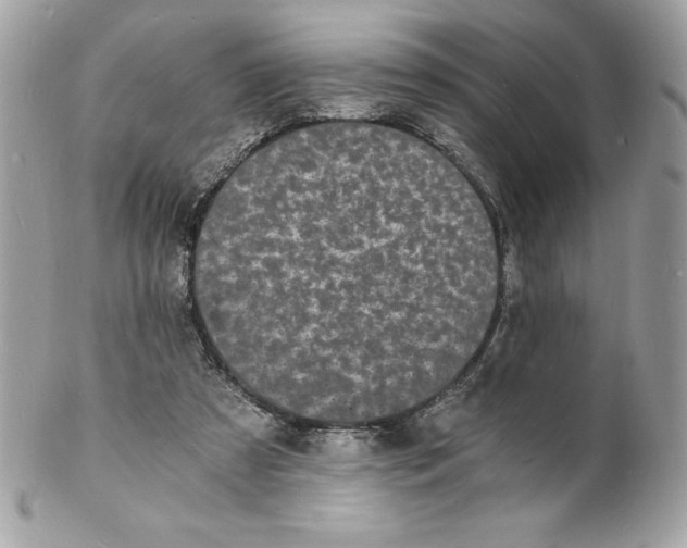 X0000102220305200808151712